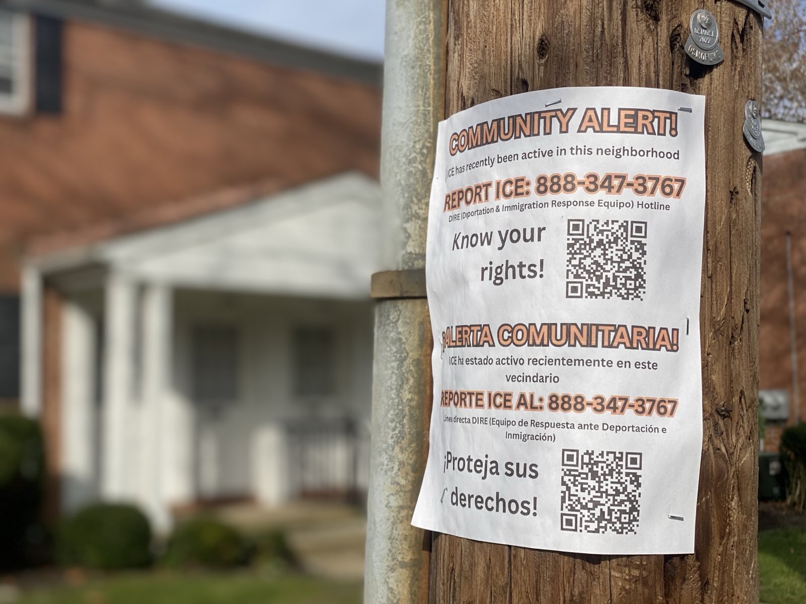 A blurred out apartment building in the background. The foreground is a telephone pole and informational flyer