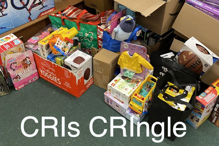 A collection of toys for the holiday drive sit on the green carpeted floor