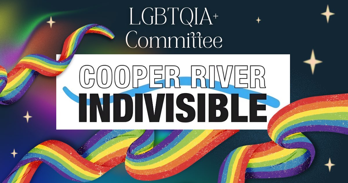 At the top it says "LGBTQIA+ Committee" and in the middle "Cooper River Indivisible". The background is a mix of purple and black and a pride ribbon wraps around the whole thing