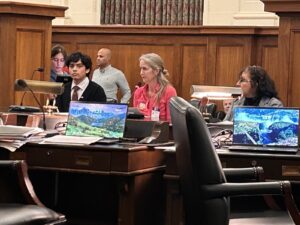 We are in a State Senate hearing room. In the center of the picture is a CRI member in a pink outfit testing to the members of the hearing